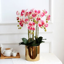 Load image into Gallery viewer, 1 set flower + vase high grade  well designed table artificial Latex orchid flower arrangement real touch  ins popular

