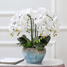 Load image into Gallery viewer, 100% High simulation real touch ikebana Hi-Q artificial orchid flowers arrangements latex orchid floriculture pot culture suits
