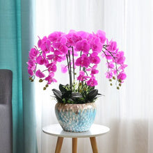 Load image into Gallery viewer, 100% High simulation real touch ikebana Hi-Q artificial orchid flowers arrangements latex orchid floriculture pot culture suits
