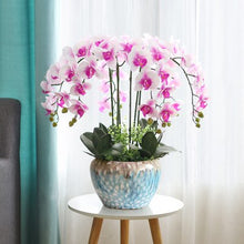 Load image into Gallery viewer, 100% High simulation real touch ikebana Hi-Q artificial orchid flowers arrangements latex orchid floriculture pot culture suits
