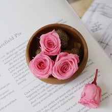Load image into Gallery viewer, Japan Rose Mr Zhang 2-3cm | 24 Flowers 1 box Installed 02370 Preserved Fresh Flower DIY Material the Gift
